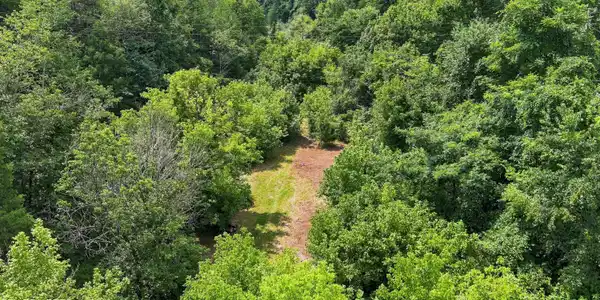 Image 4: Gray RD TN