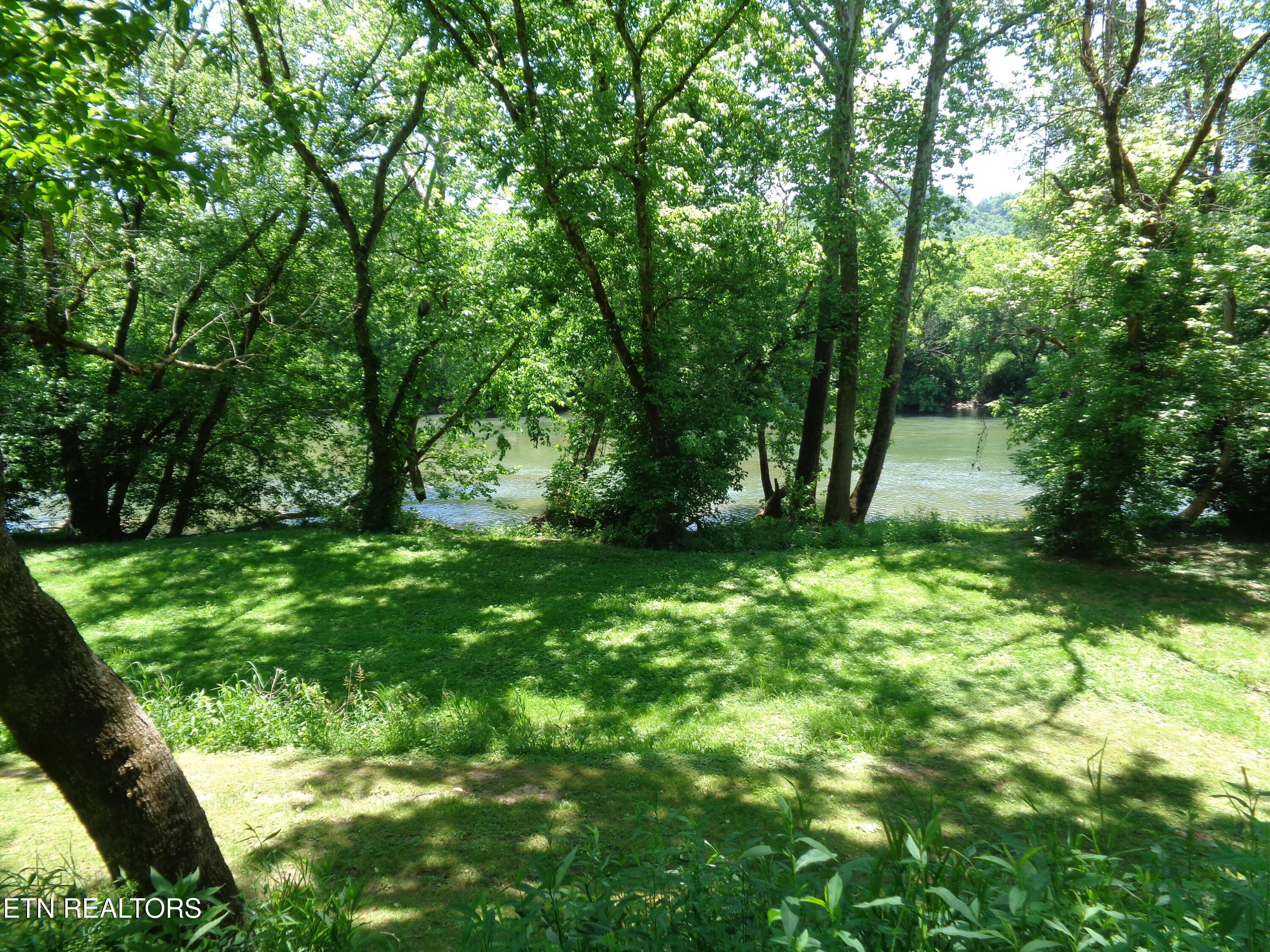 Image 2: DSC01087