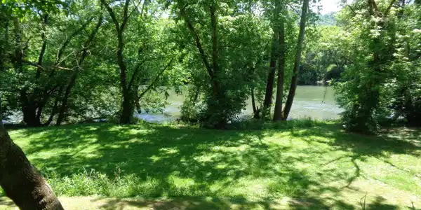 Image 2: DSC01087