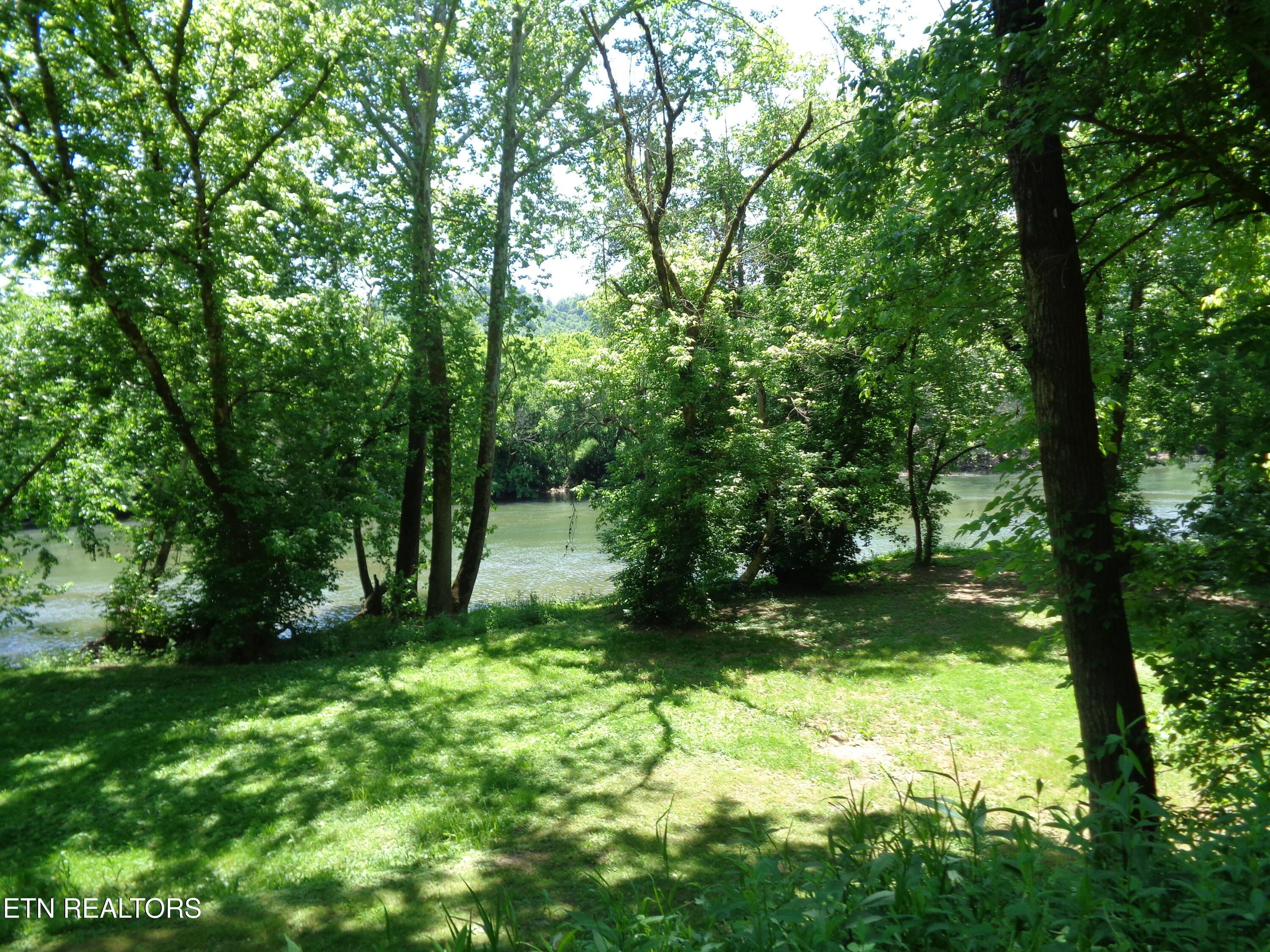 Image 3: DSC01088