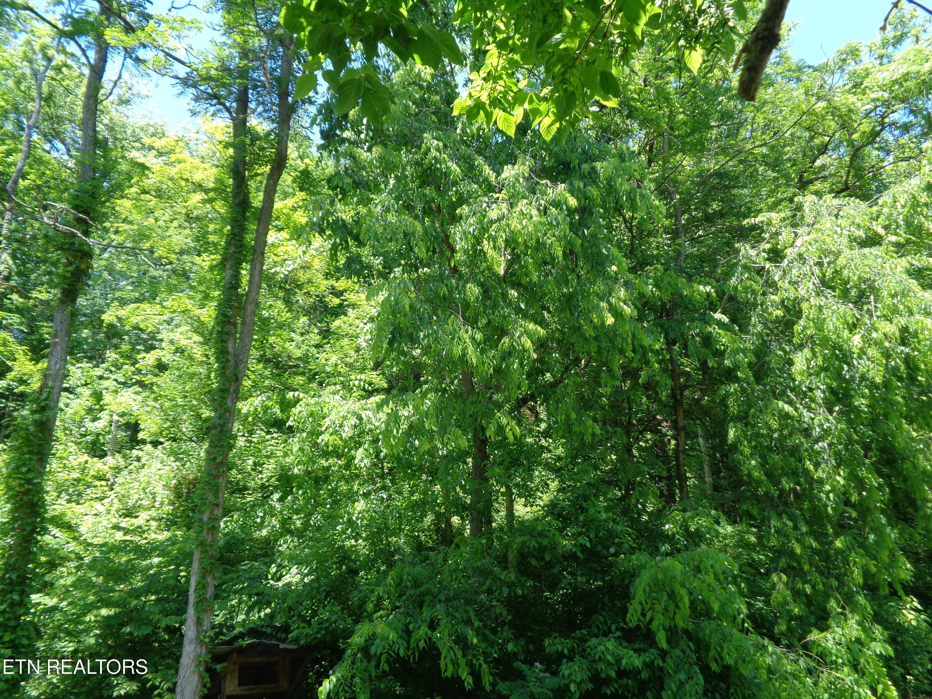 Image 4: DSC01089