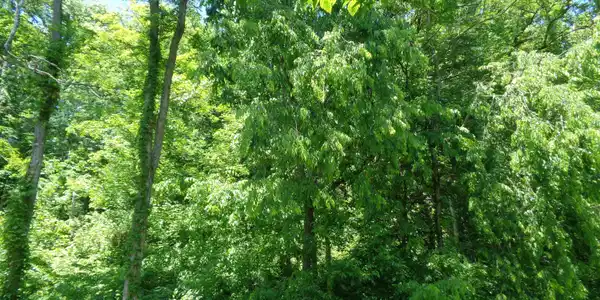 Image 4: DSC01089