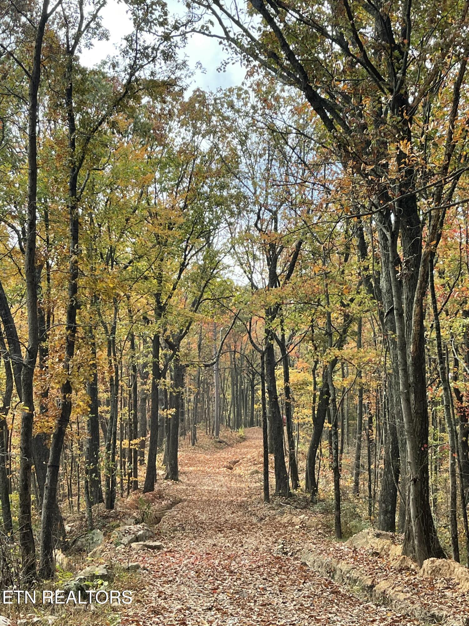 Image 1: Lot view 1