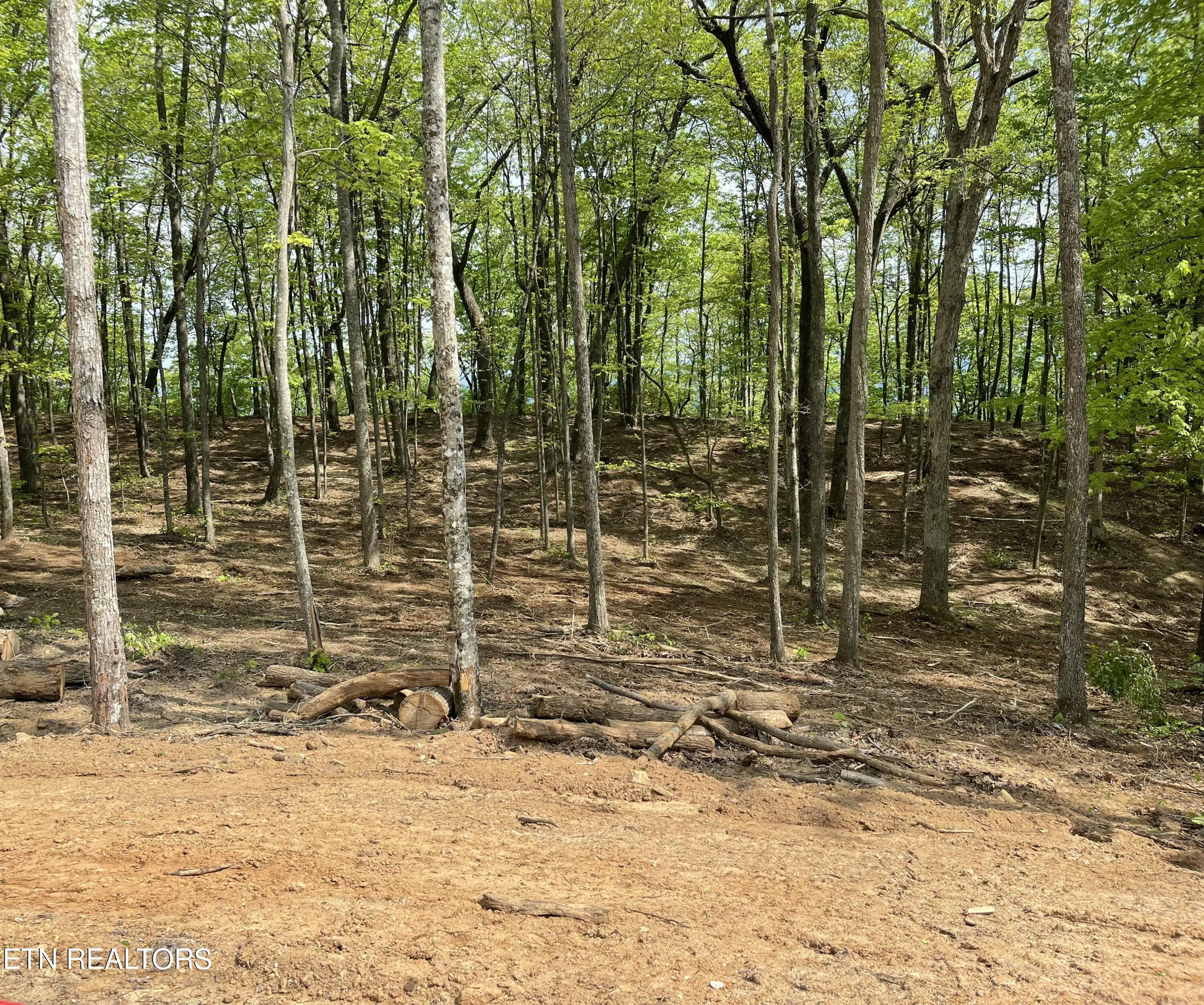 Image 3: Lot view 3