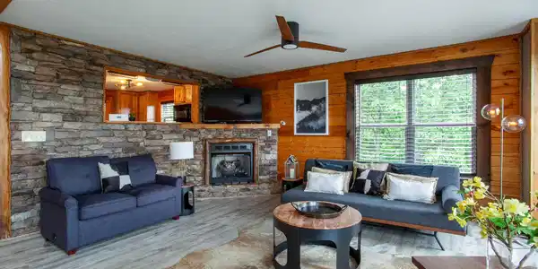 Image 3: 920FalconView-6