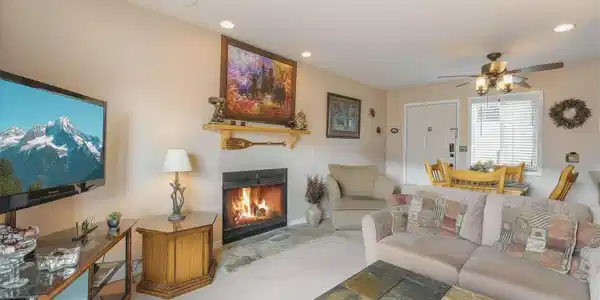 Image 2: Living Room with Fireplace C203