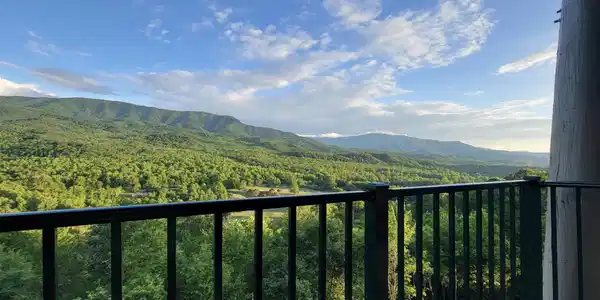 Image 4: Deck View