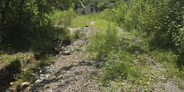 Image 3: washburn 3