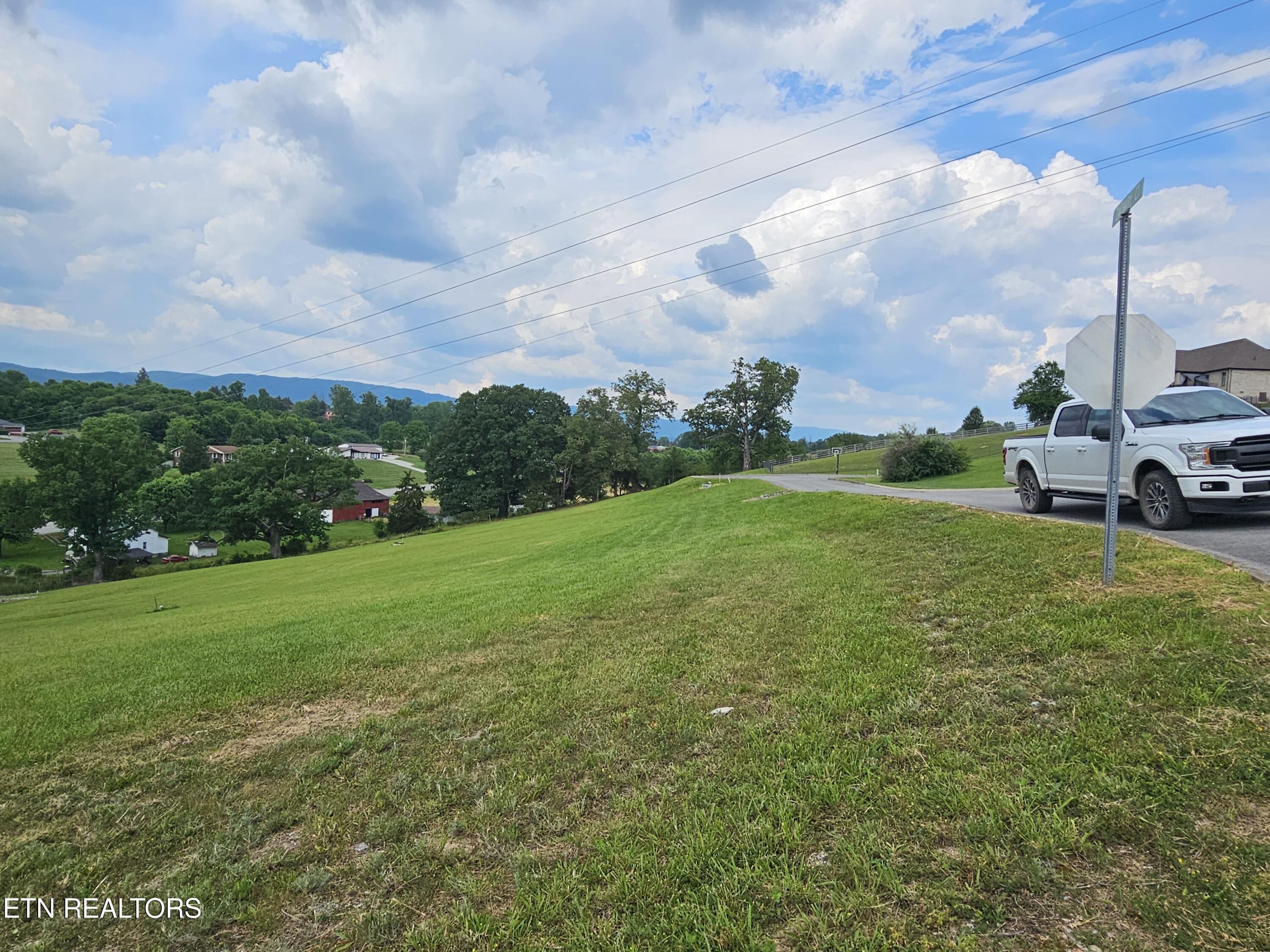 Image 3: 20250605_155925