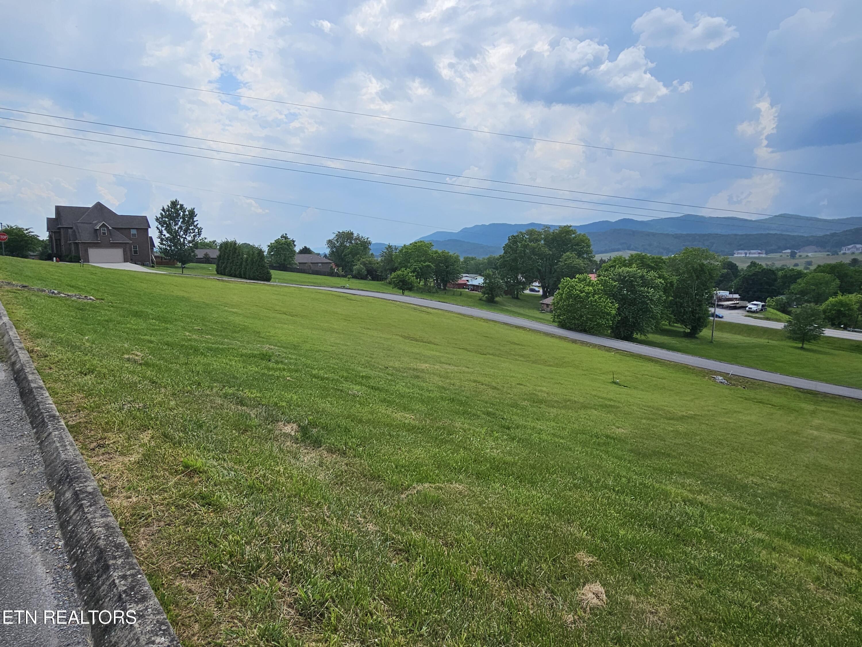 Image 4: 20250605_154850