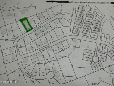 437 Laurel Ridge Lane