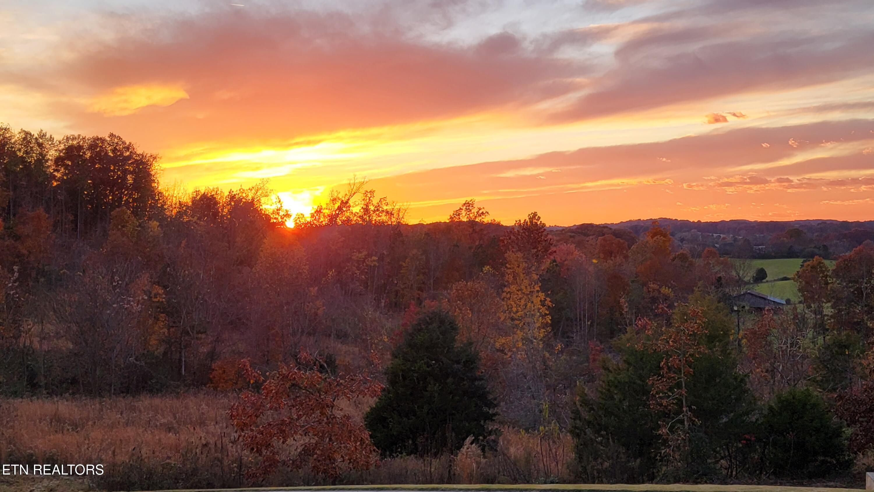 Image 3: 20211114_172720