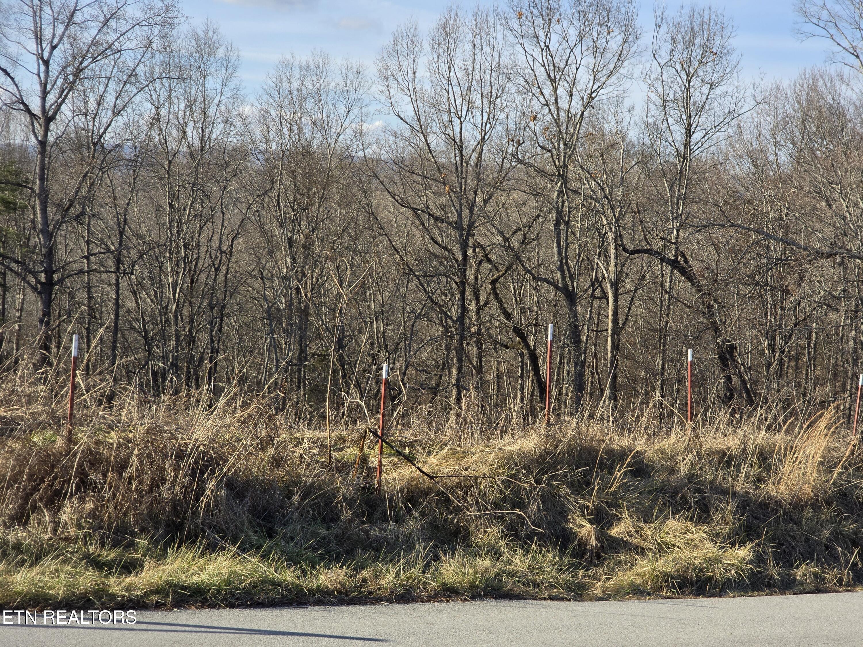 Image 2: 20250202_161045