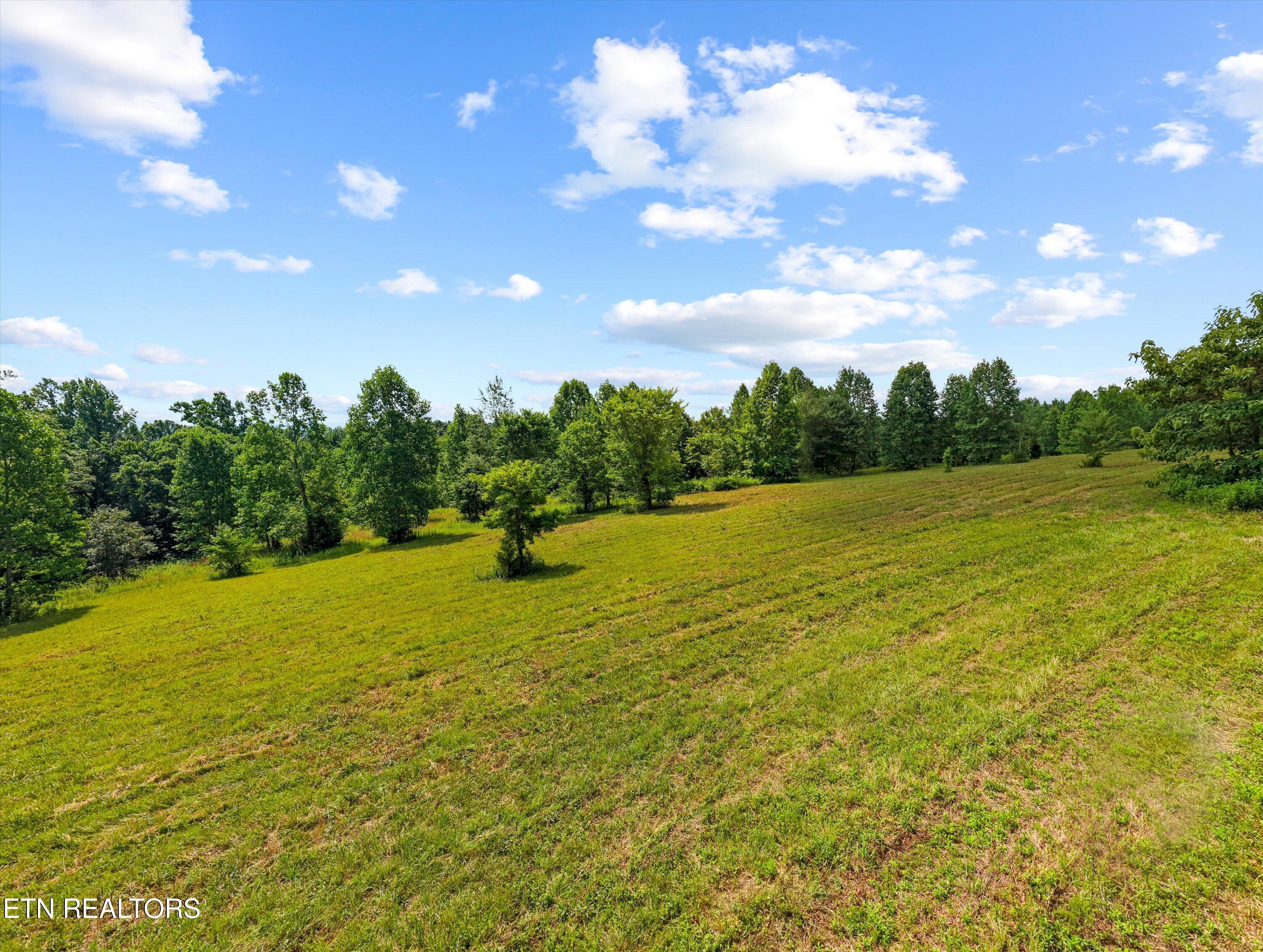 Image 3: 07-13252 Flatwoods Rd 07