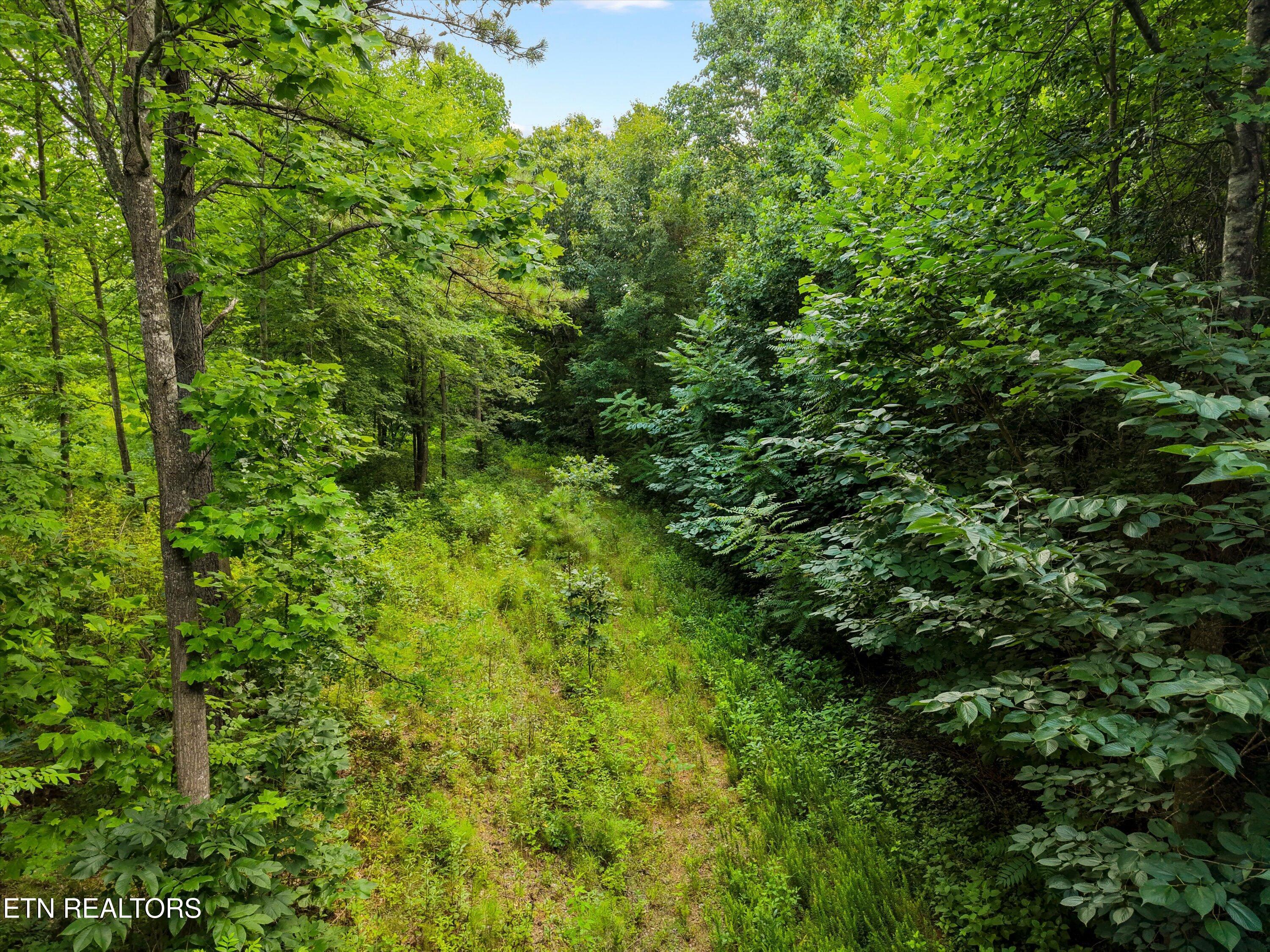Image 4: 09-13252 Flatwoods Rd 09
