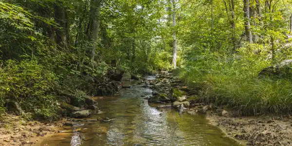 0000 Snake Hollow (162.33 acres) Rd