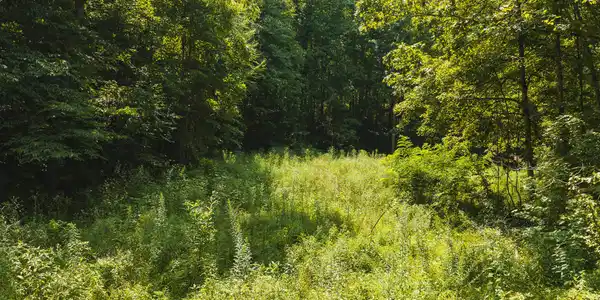 Image 2: DJI_20260810131445_0428_D
