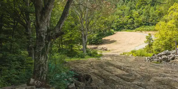 Image 3: DJI_20260810133813_0478_D