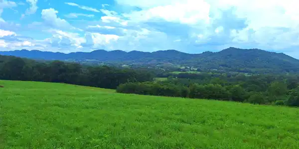 Race Track Rd