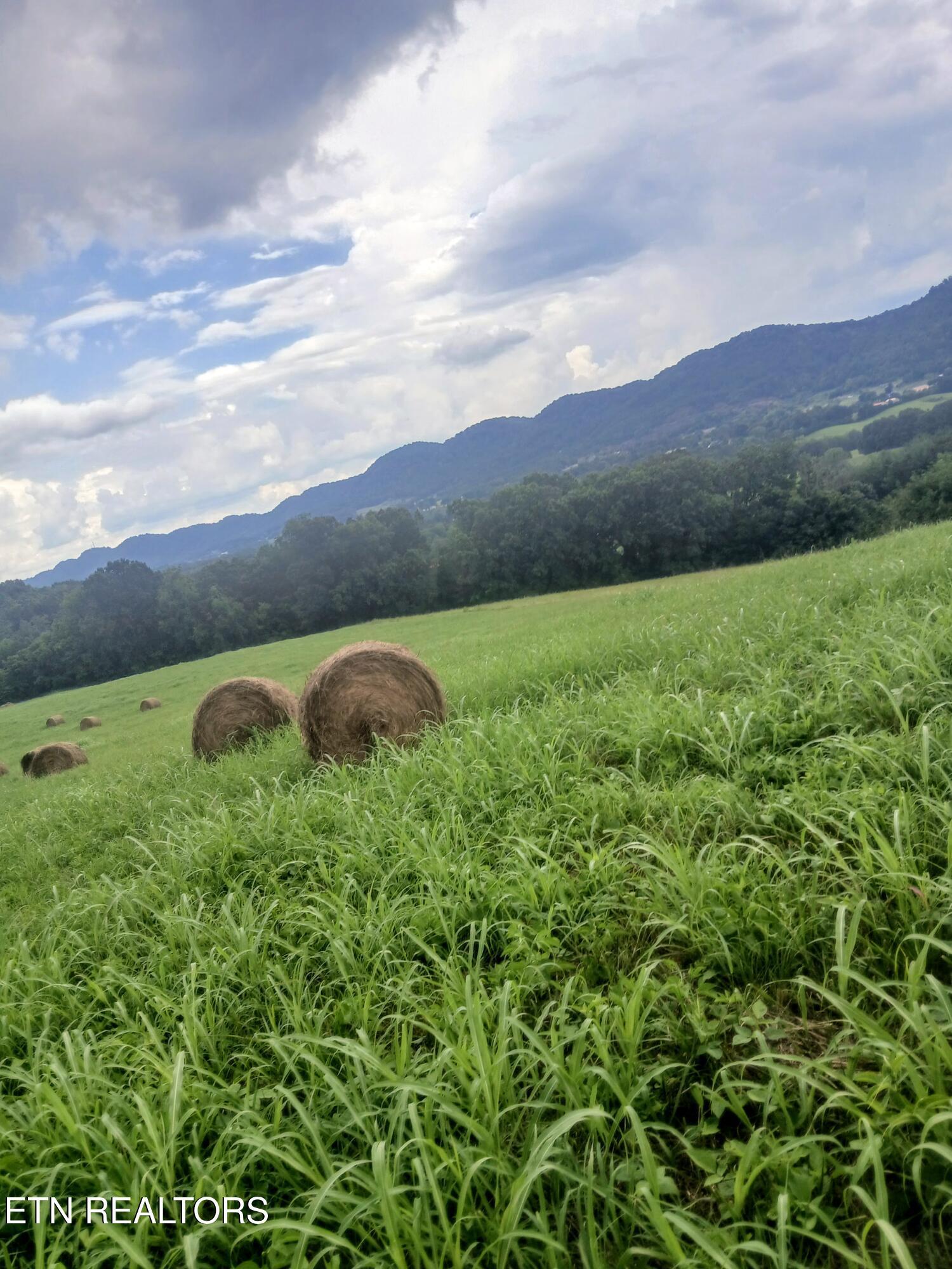Image 3: 20250730_160545