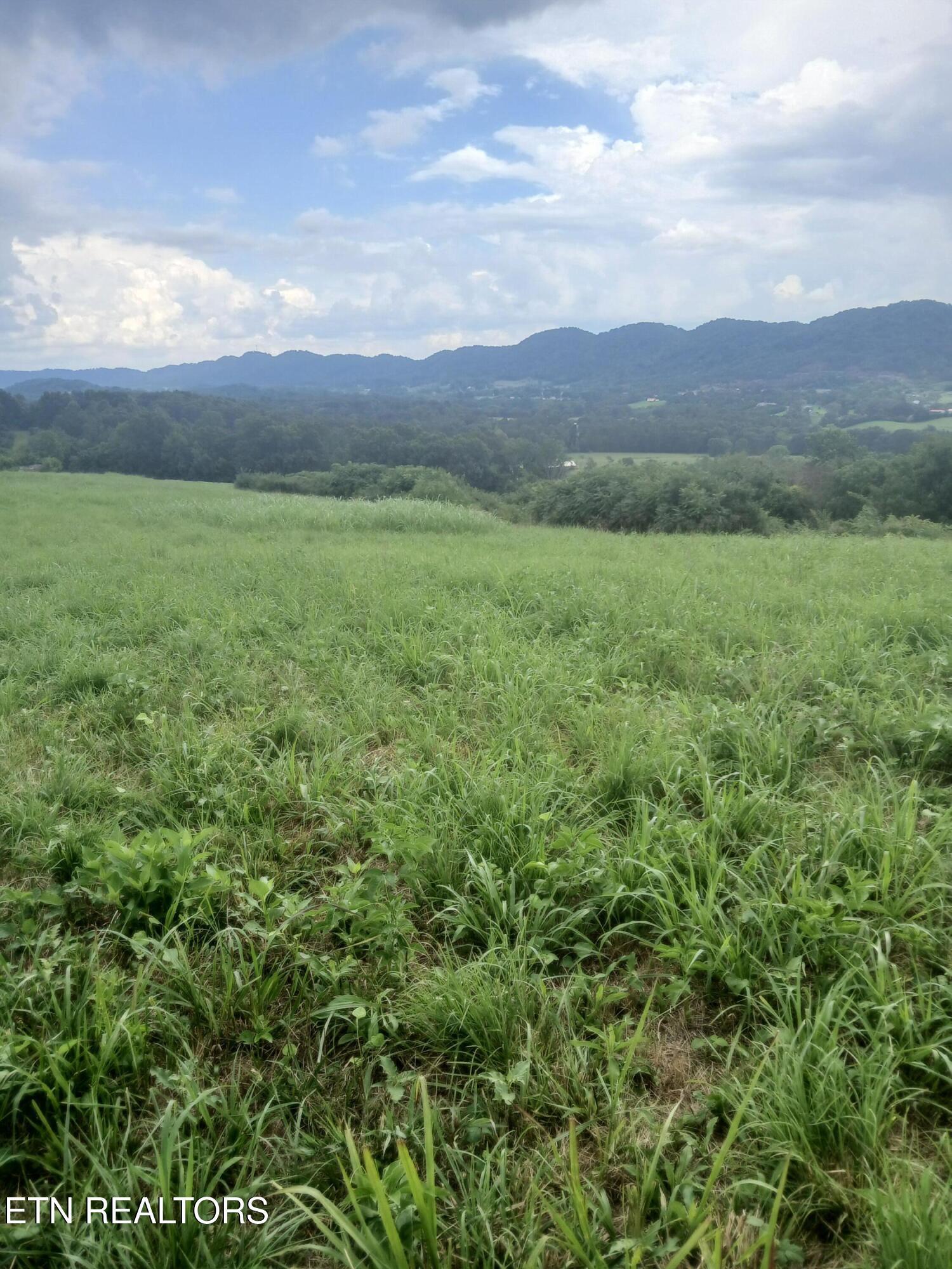 Image 4: 20250730_160253