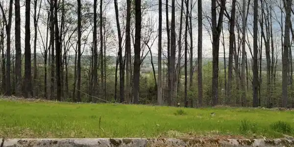 00 Lot 10 Poplar Drive