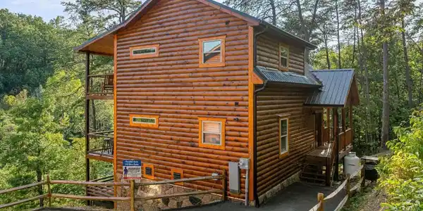 1009 Silver Poplar Lane