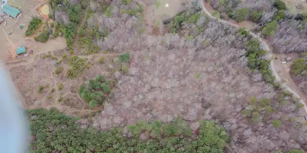 Image 4: DJI_0791