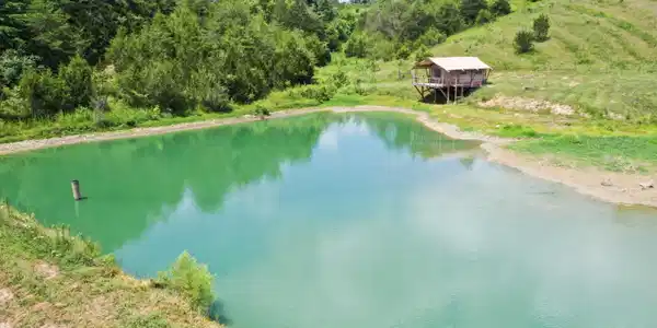 Image 3: Stocked pond and luxury glamping tent