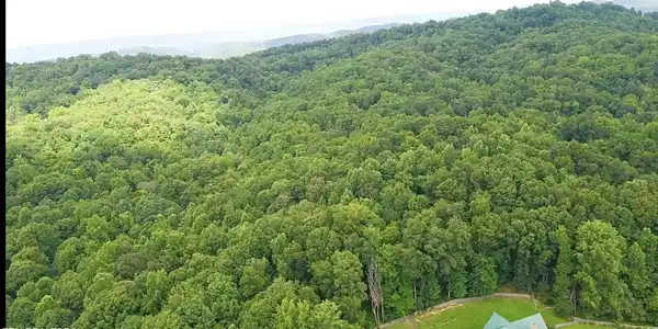 Image 4: 100+ acres of woods in the back
