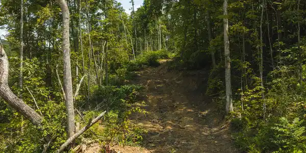 Image 4: DJI_20260810131558_0430_D