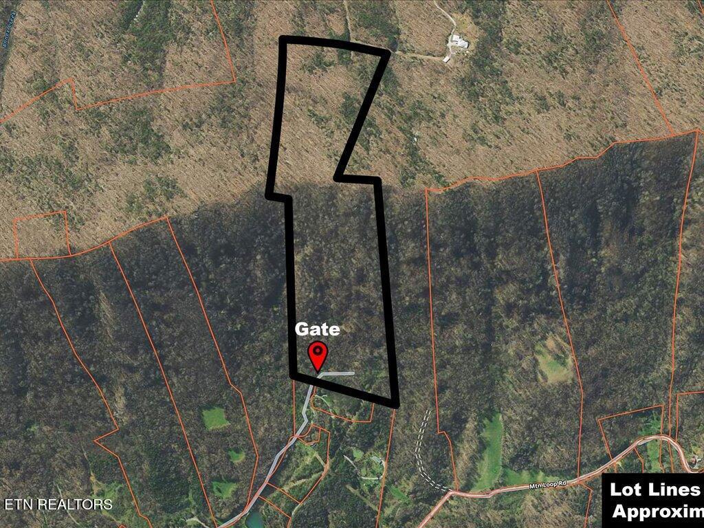 Image 2: 902 Charlie Dalton Ln - 2 (1)
