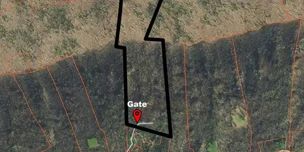 Image 2: 902 Charlie Dalton Ln - 2 (1)