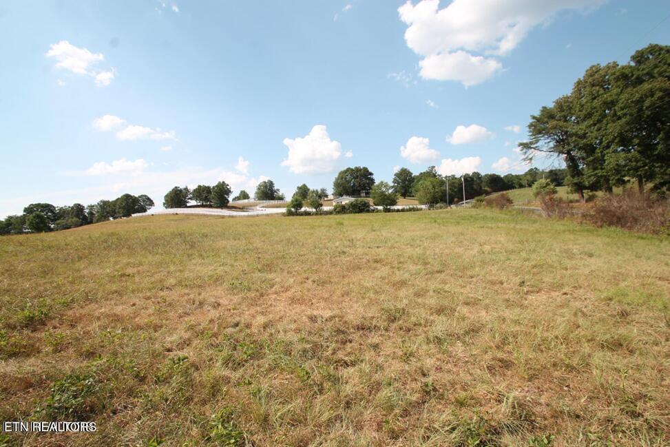 Image 3: 520 LOWE ROAD