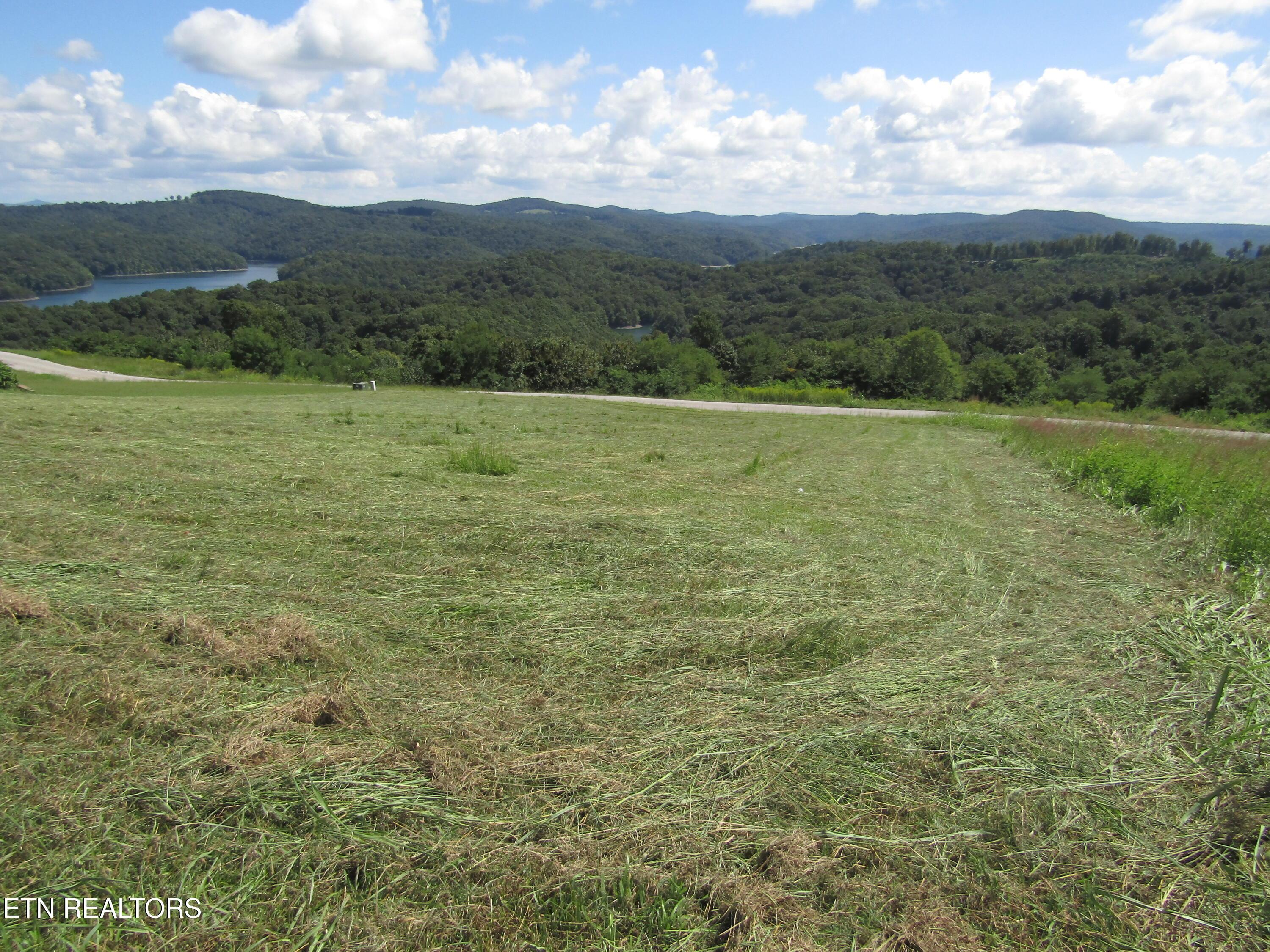 Image 4: IMG_9397