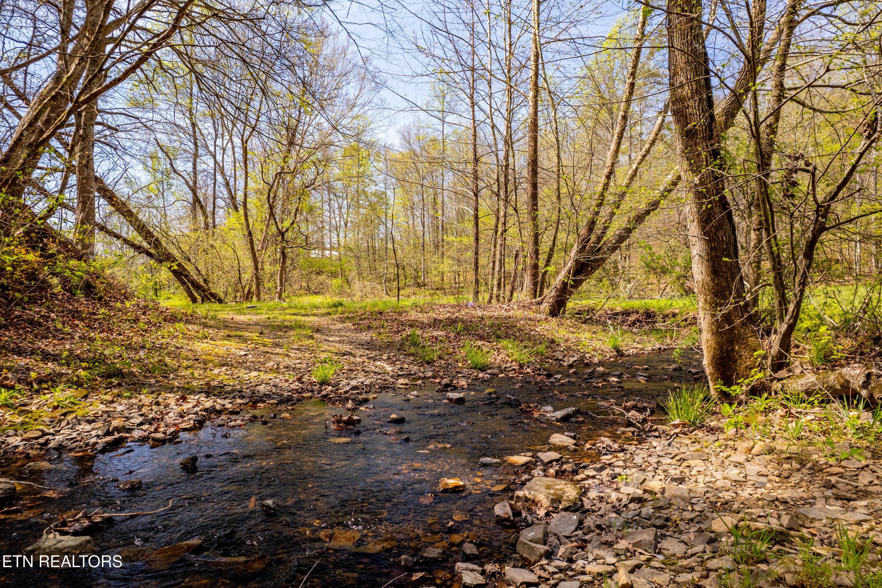 Image 3: 596 Byrams Fork Rd-25