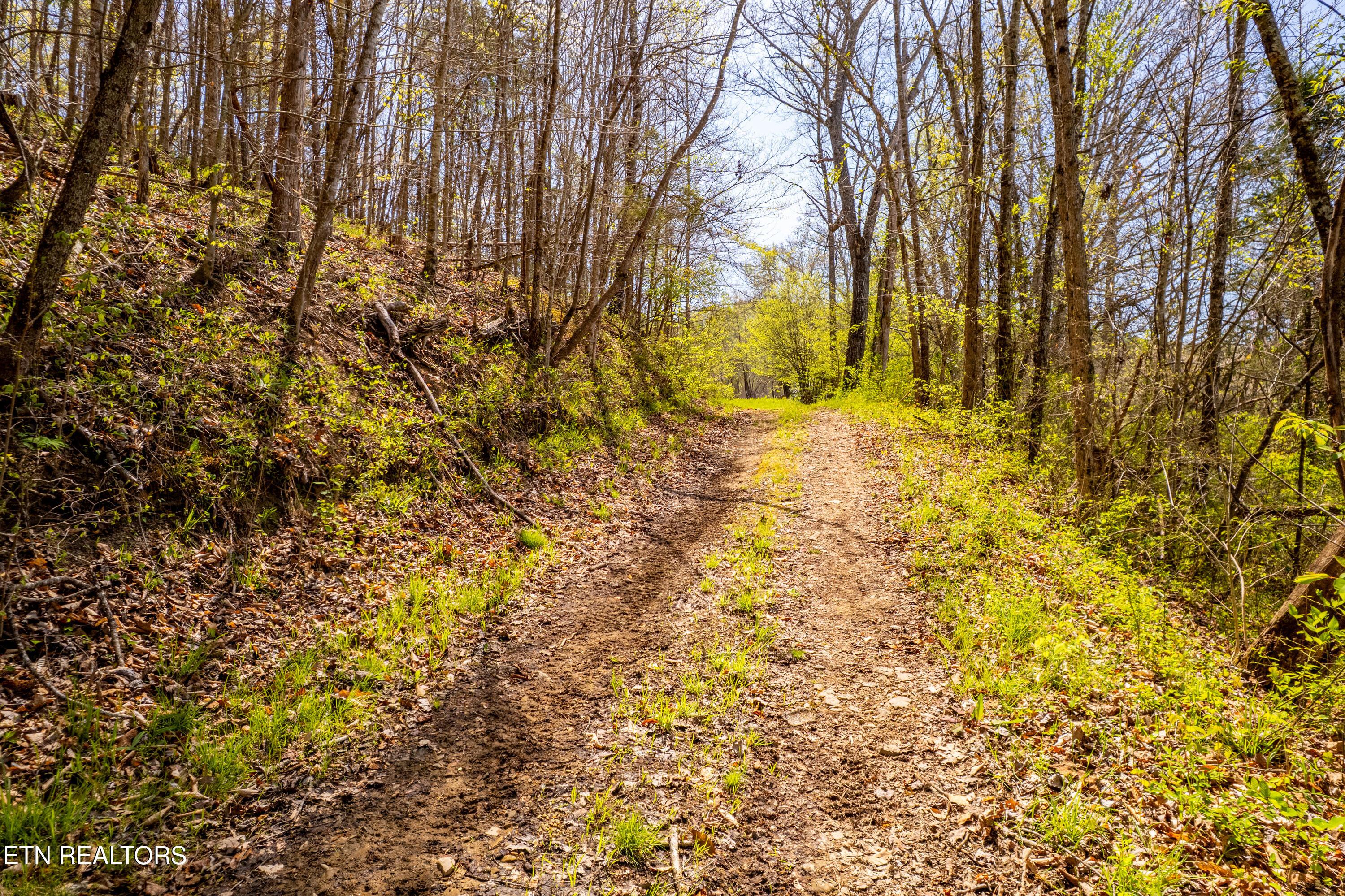 Image 4: 596 Byrams Fork Rd-22