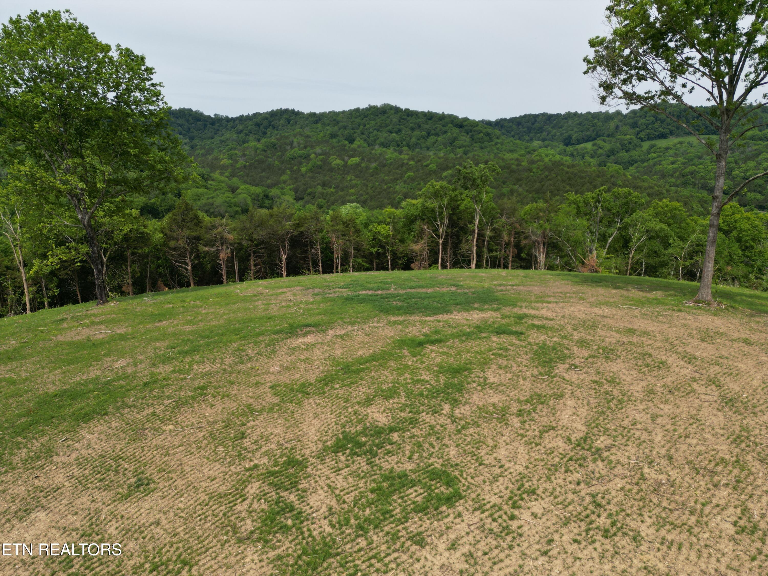 Image 2: DJI_0351