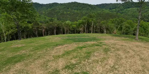 Image 2: DJI_0351