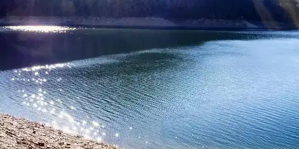 Image 3: #778 Russell Br, Sunset Bay, Norris Lake