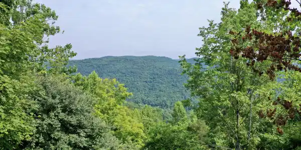 Image 3: 2