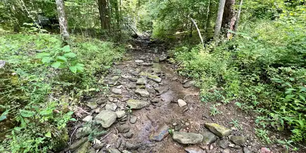 Image 4: 3