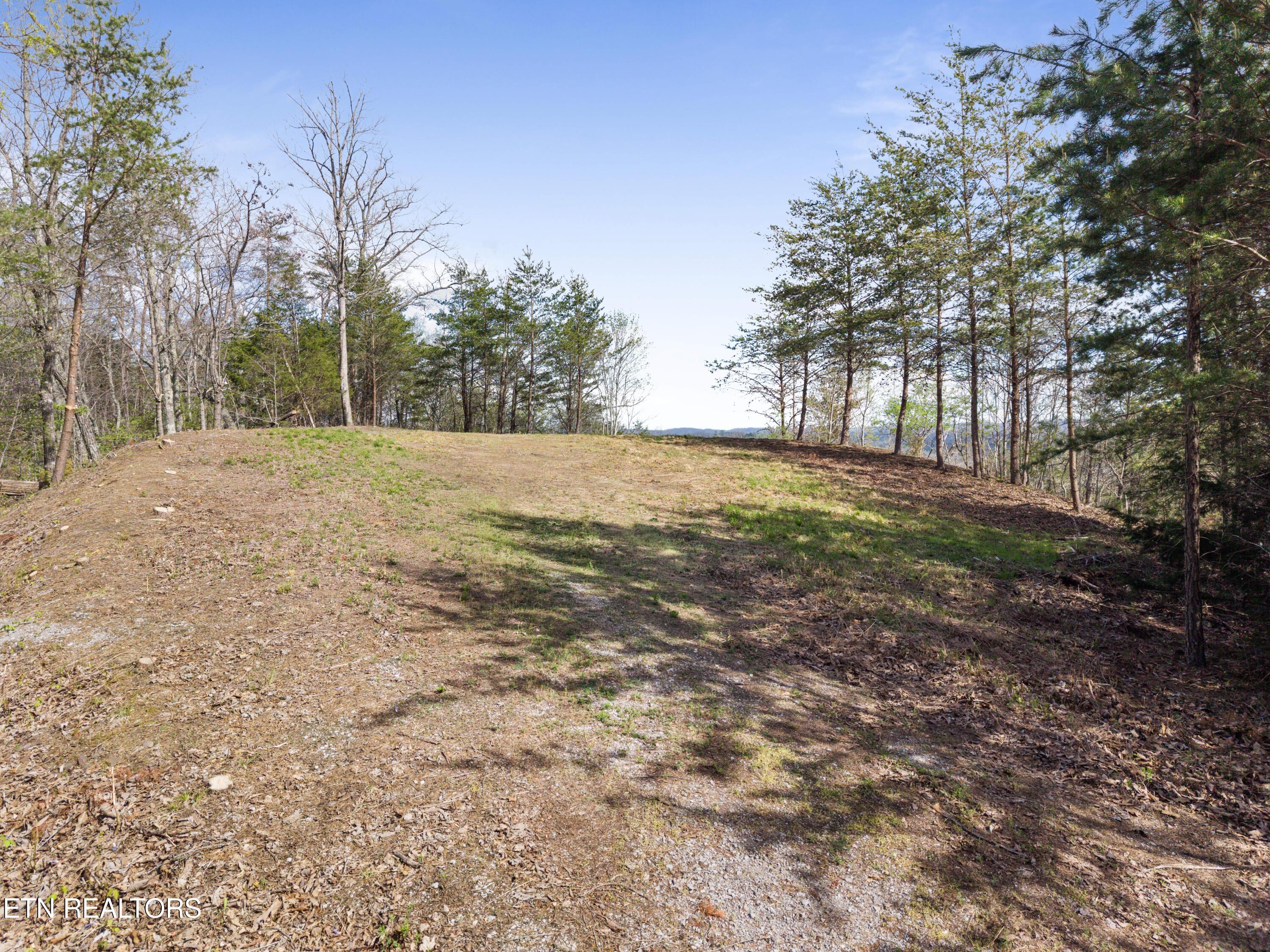 Image 3: Bluff_View_Rd 0001