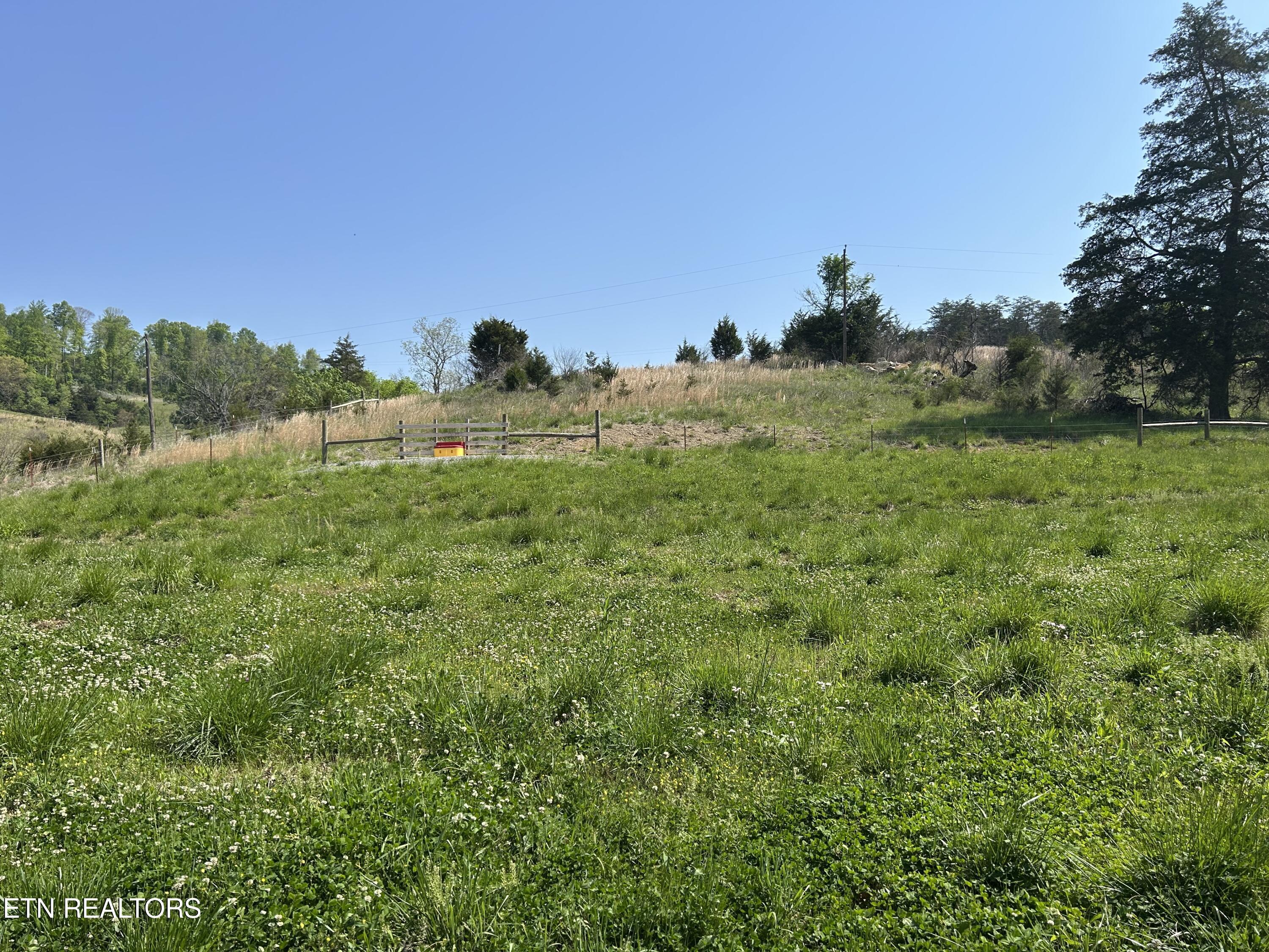Image 3: IMG_6199