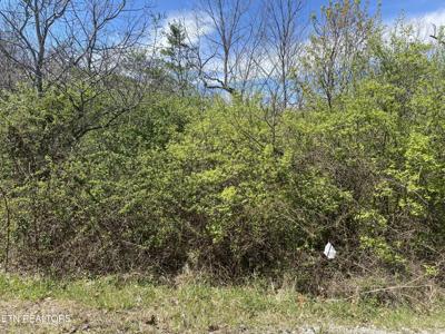 LOT #6 S HWY 127 N