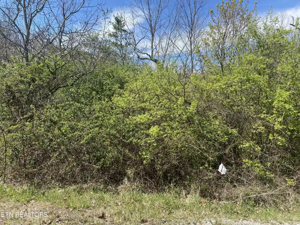 Image 1: HWY 127 LOT 5 PIC 3