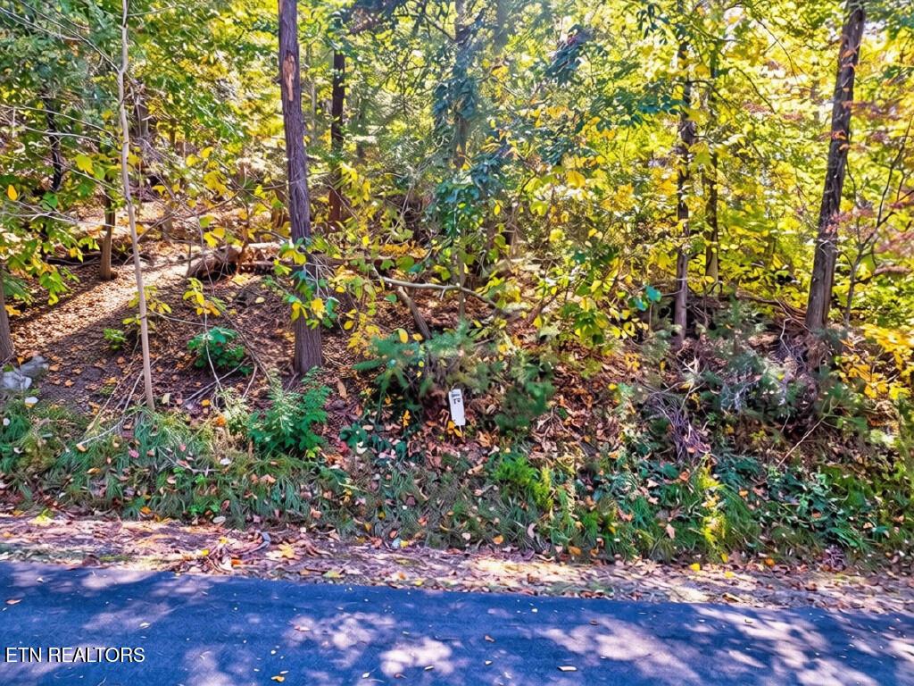 Image 3: Lot 39 Five Oaks Cir - 3