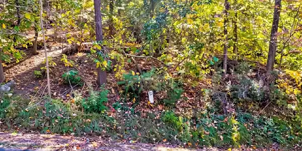 Image 3: Lot 39 Five Oaks Cir - 3