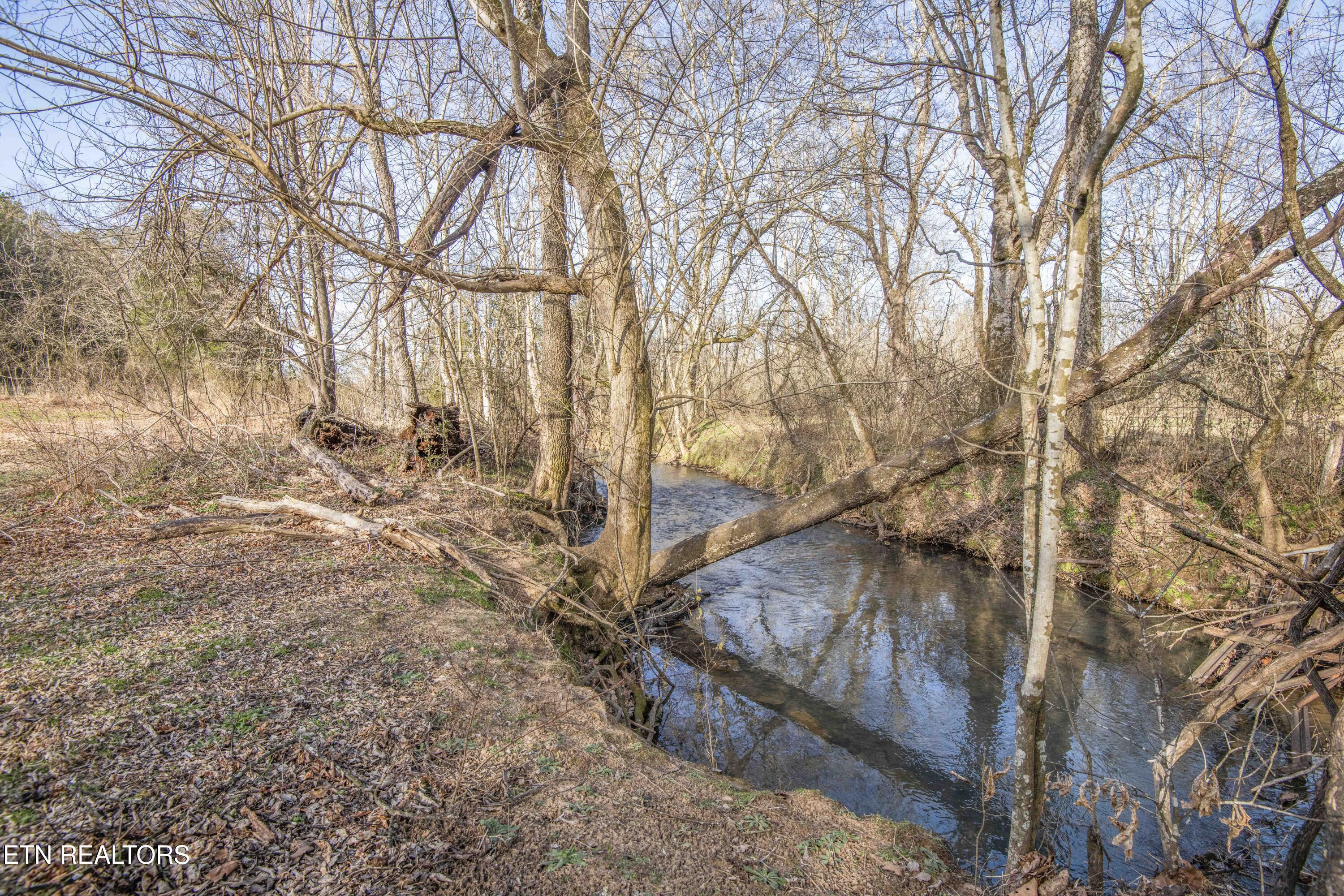 Image 4: ground 12_1