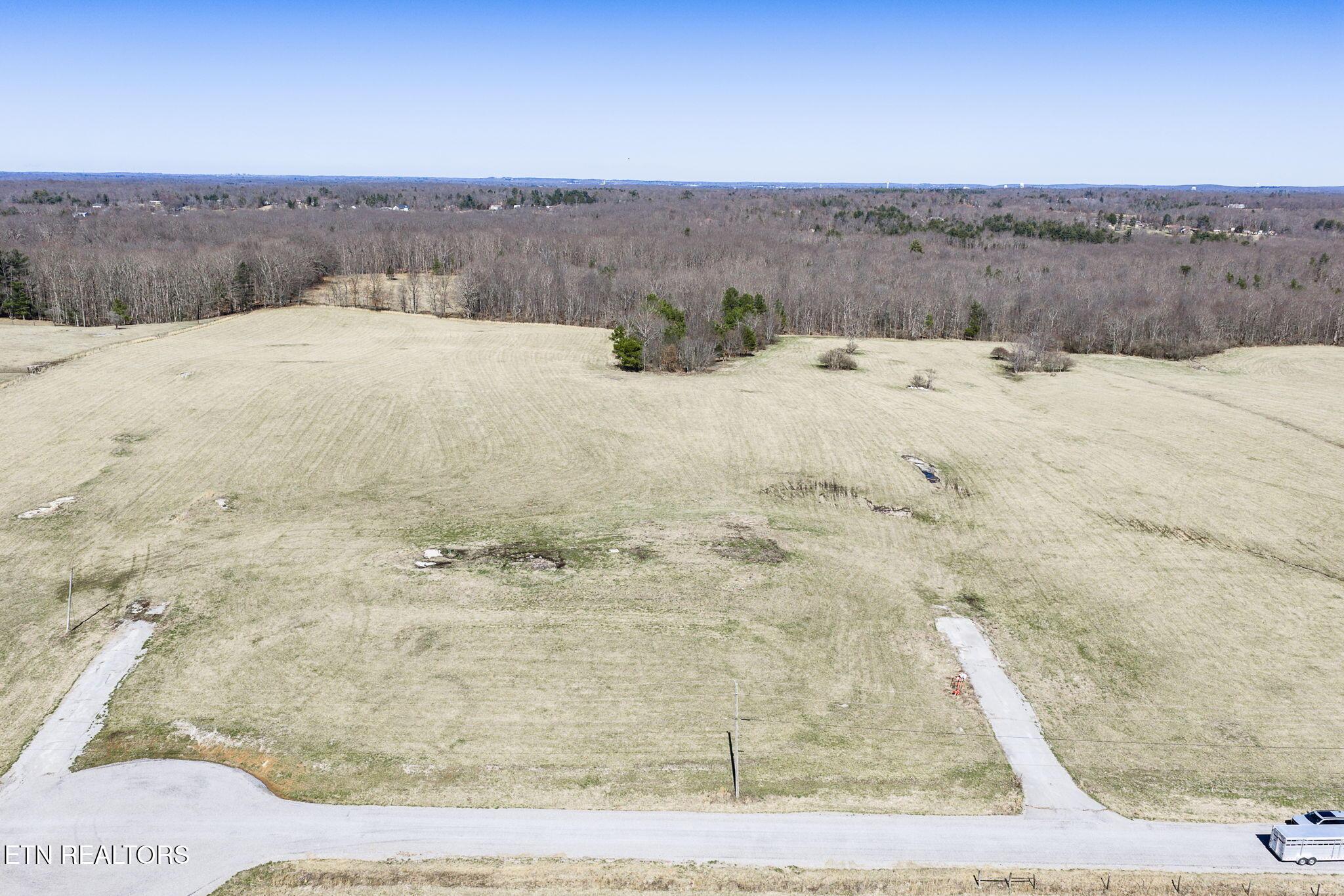 Image 2: Lot 4